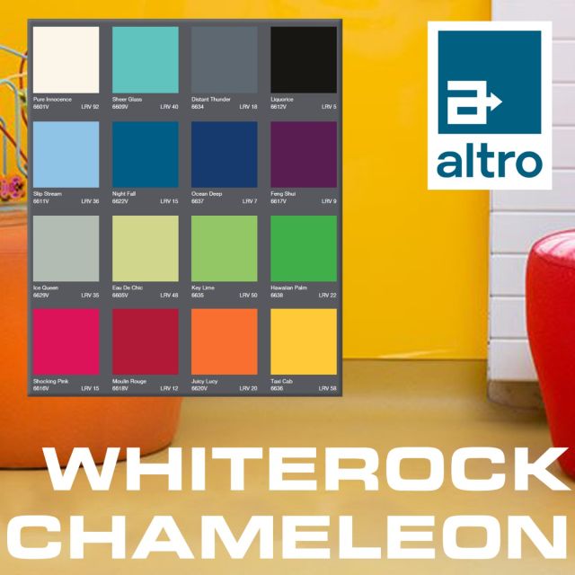 Altro Whiterock Chameleon at Hycom 1