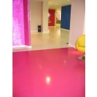 Painted Resins Floor